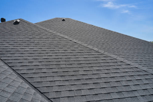 Best Metal Roofing Installation  in Newport, MN