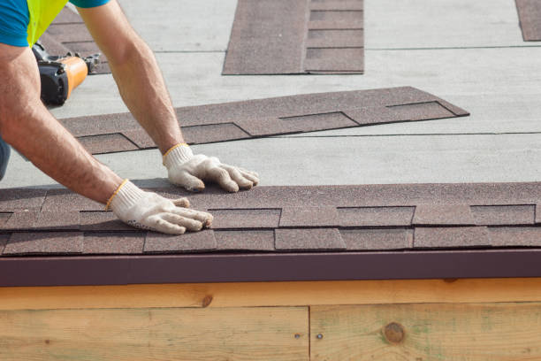 Best Skylight Installation and Repair  in Newport, MN
